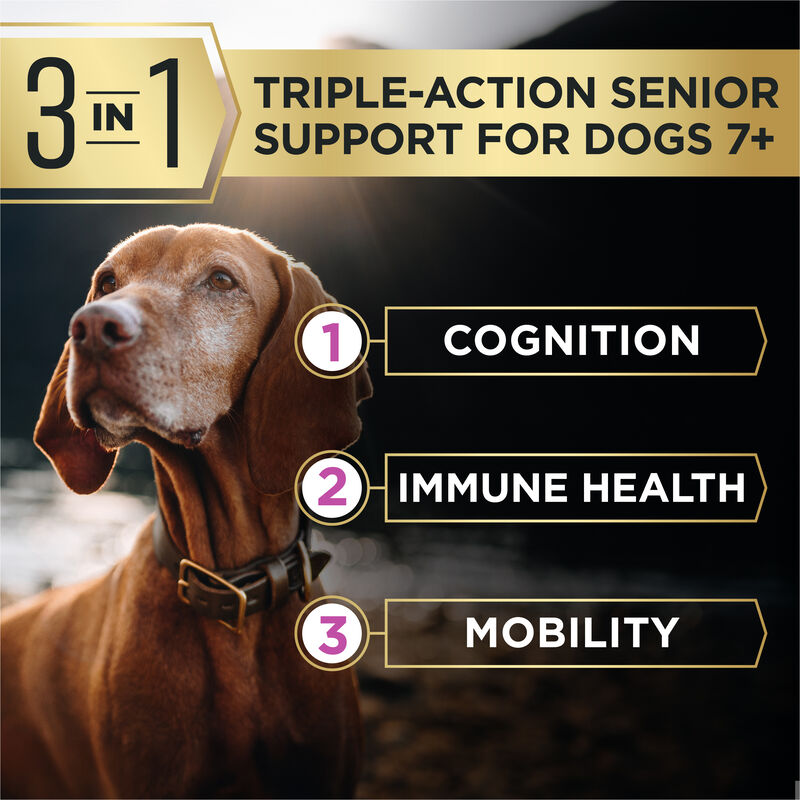 Pro Plan, AdvantEDGE - Senior Support Chicken & Rice - Dry Dog Food image number null