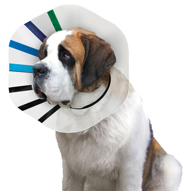 KONG, Elizabethan Collar - Dog First Aid image number null
