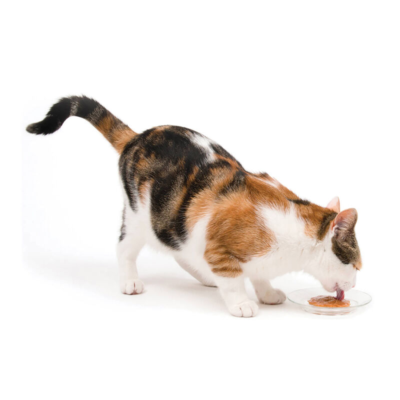 Catit, Creamy Treats - Mixed Pack - 15g - 12 pk image number null