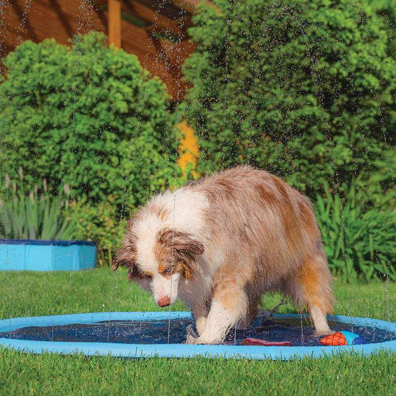 Zoom Pets Splash Pad - Blue image number null