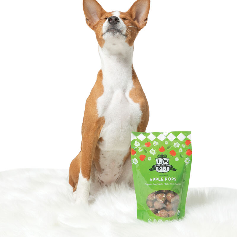 Lord Jameson, Apple Pops Organic Dog Treats - 170 g Dog Treats image number null