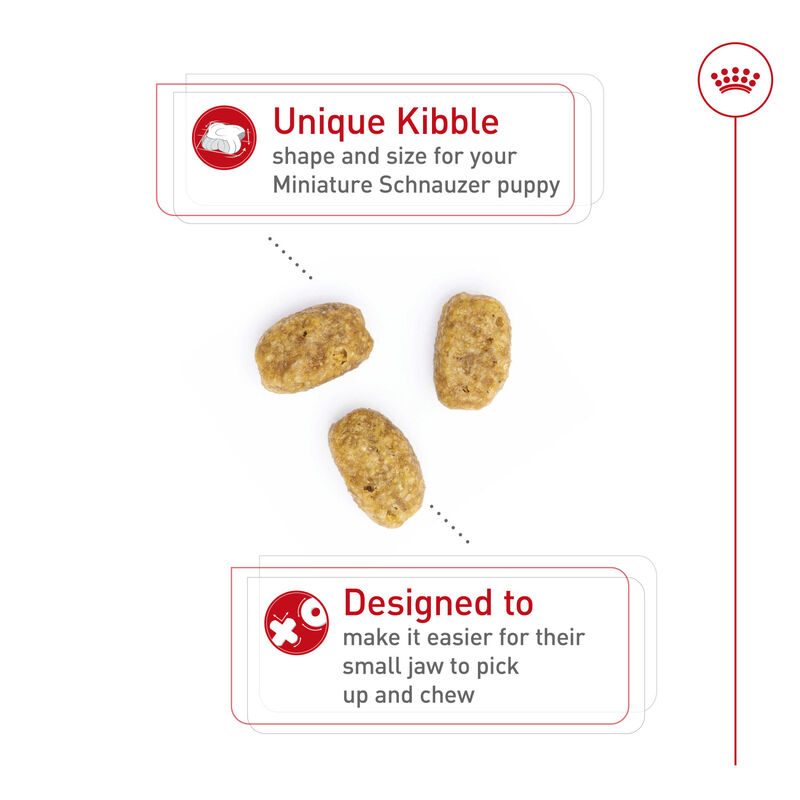 Royal Canin, Breed Health Nutrition Miniature Schnauzer Puppy 2.5LBS - Dry Dog Food image number null