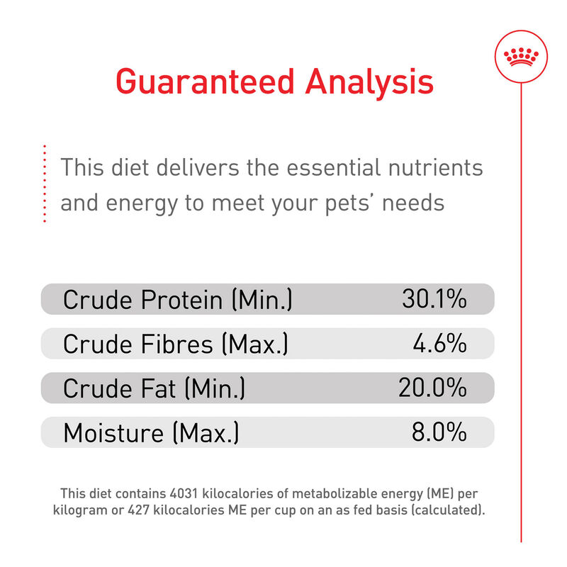 Royal Canin, Feline Breed Nutrition - Persian Kitten Food - 1.36 kg image number null