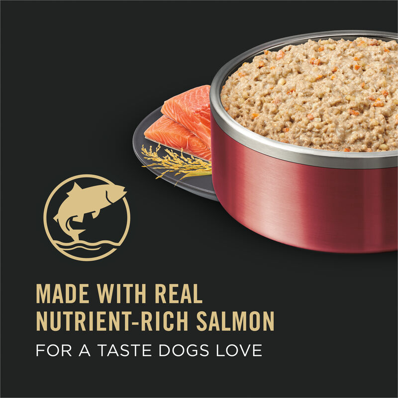 Pro Plan Dog, Can, Specialized Sensitive Skin & Stomach Salmon & Rice 368g image number null