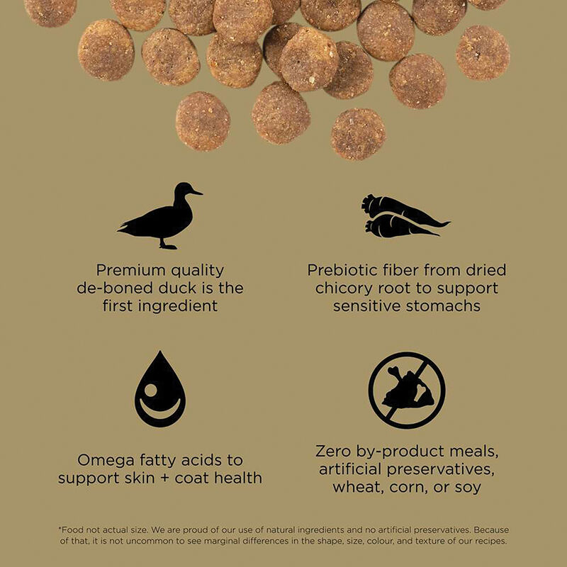 GO! SOLUTIONS, SENSITIVITIES Limited Ingredient Grain Free Duck Recipe for dogs - Dry Dog Food image number null