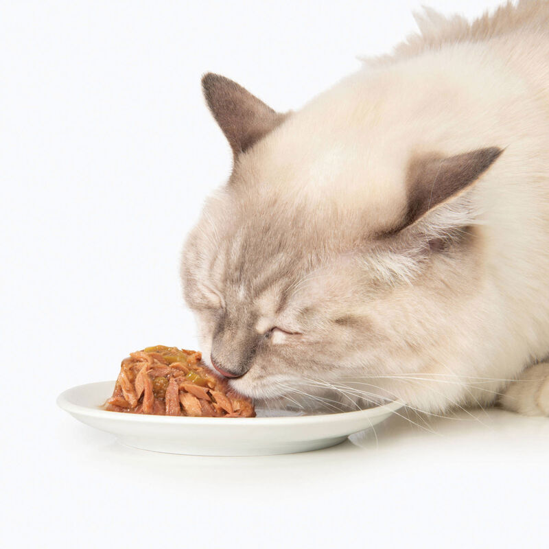 Catit, Grain Free - Fish Dinner with Layer of Tuna & Carrots - Wet Cat Food image number null