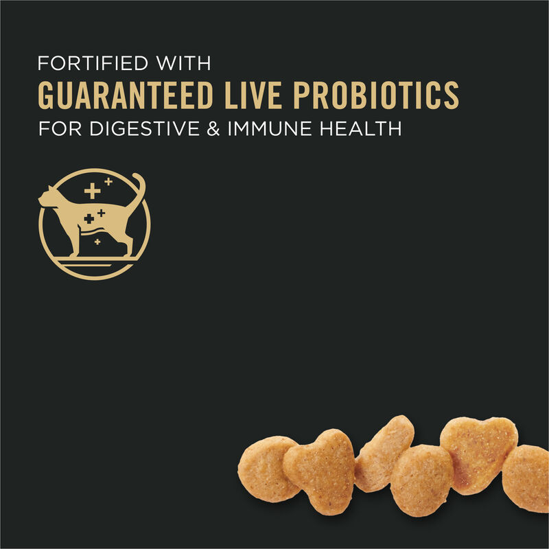 Purina Pro Plan Specialized Sensitive Skin & Stomach Adult, Lamb & Rice Dry Cat Food Formula 3.18kg image number null