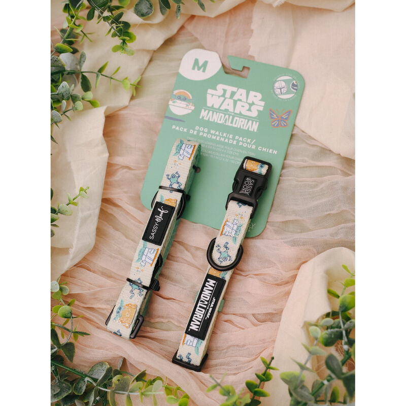 Sassy Woof, Star Wars Collar and Leash Set for Dogs - Small image number null