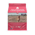 Open Farm, Wild Salmon & Ancient Grains Adult Dog Dry Food - Dry Dog Food image number null