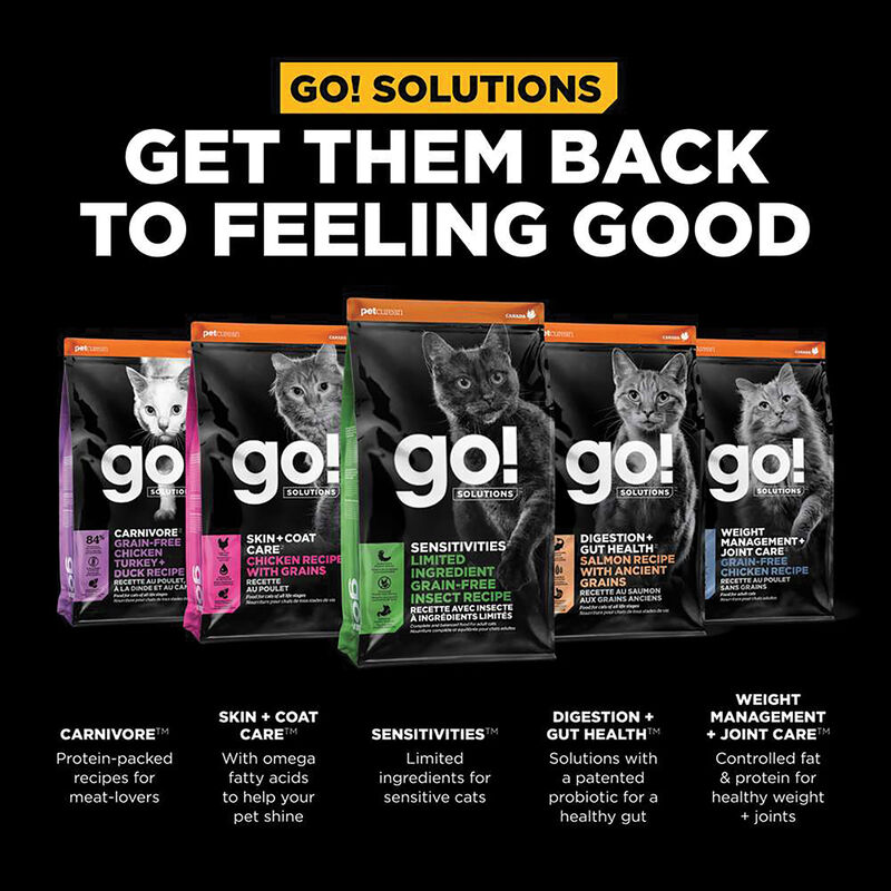 GO! SOLUTIONS, Feline Adult - LI Sensitivites GF Insect Recipe - Dry Cat Food image number null