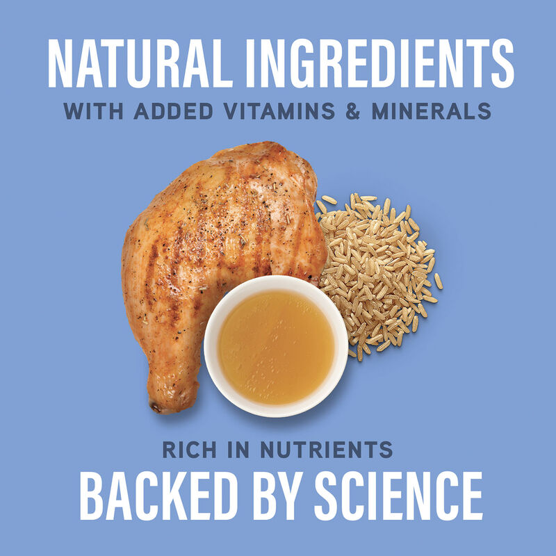 Natural Balance, Specialized Nutrition - Joint & Muscle Health Chicken & Brown Rice Formula - Wet Do image number null