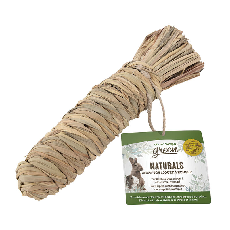 Living World, Small Animal Chew Toy - Carrot image number null