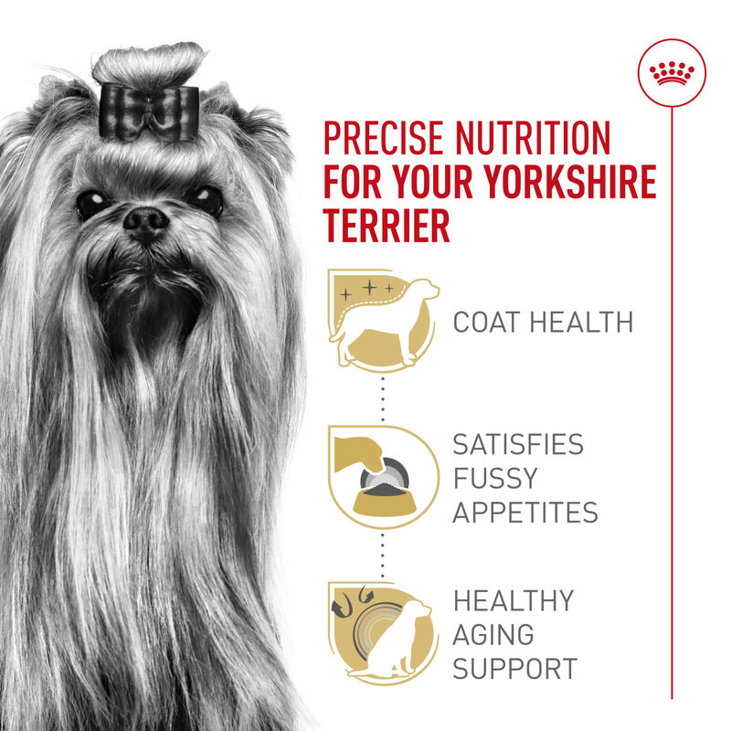 Royal Canin, Breed Health Nutrition Yorkshire Terrier Adult - Dry Dog Food image number null