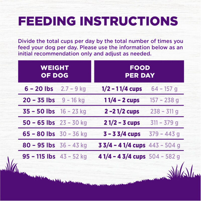Wellness, Adult Complete Health - Whitefish & Sweet Potato - 11.8 kg - Dry Dog Food image number null