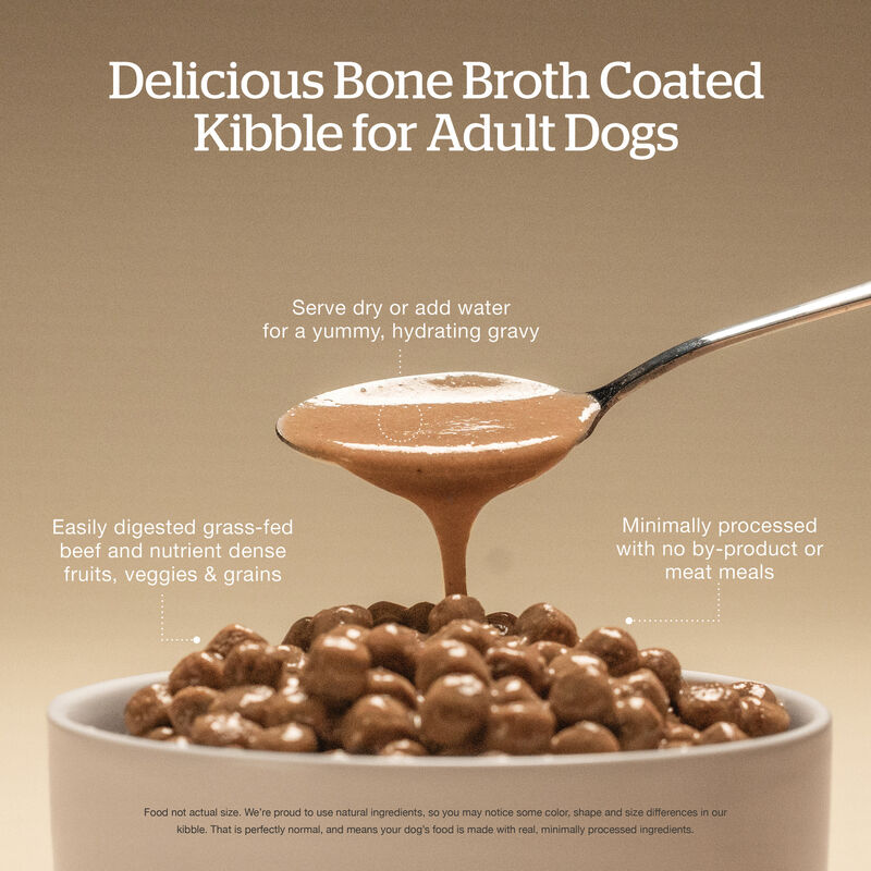 Good Gravy - Beef Coated in Bone Broth - Dry Dog Food image number null