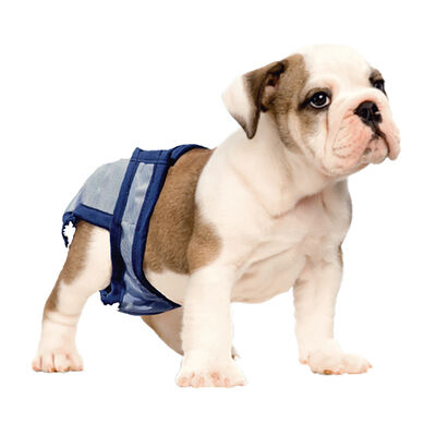Pooch Pad, PoochPants - Diaper - X-Small - 4 - 8 lbs