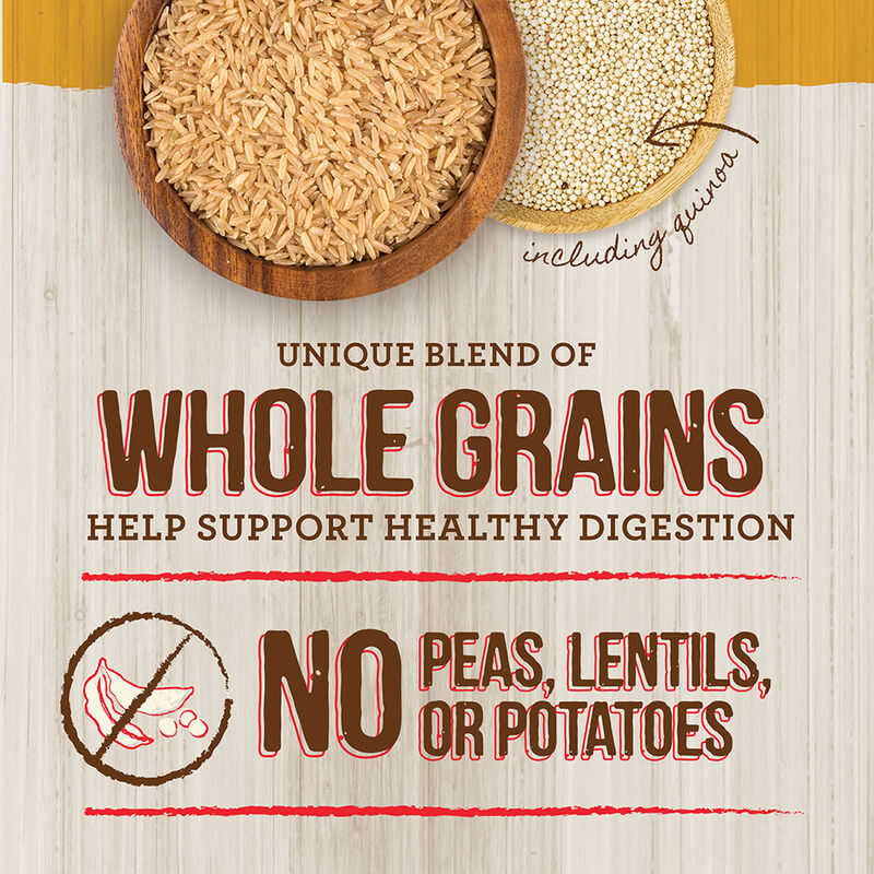 Merrick, Adult - Healthy Grains - Healthy Weight - Dry Dog Food image number null