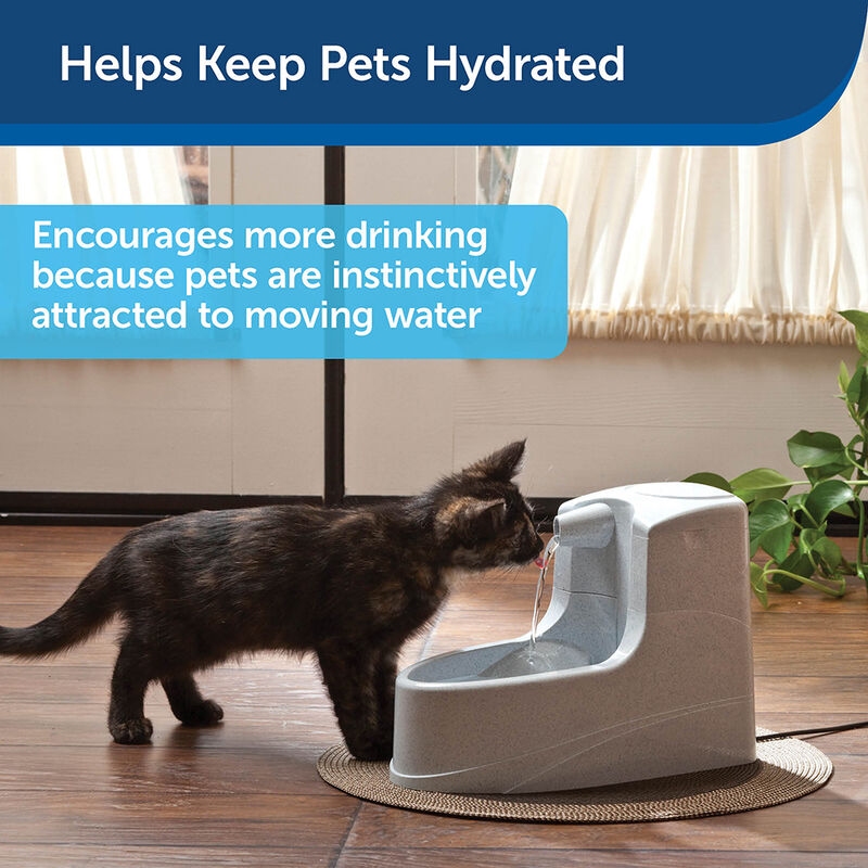 PetSafe, Mini Pet Fountain image number null