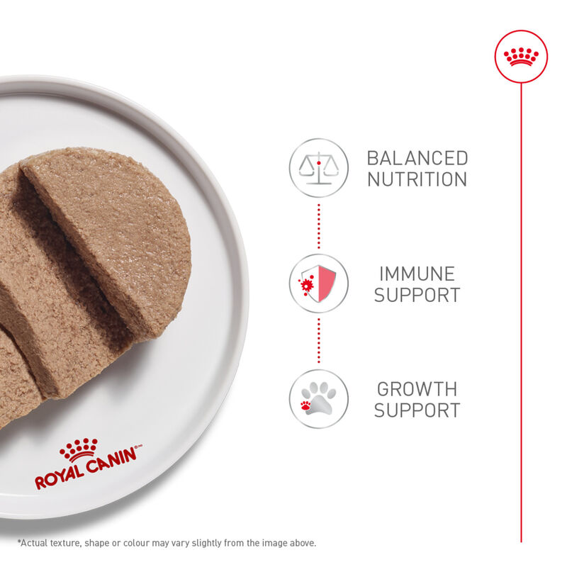 Royal Canin, Feline Health Nutrition Kitten Loaf In Sauce - Wet Cat Food image number null