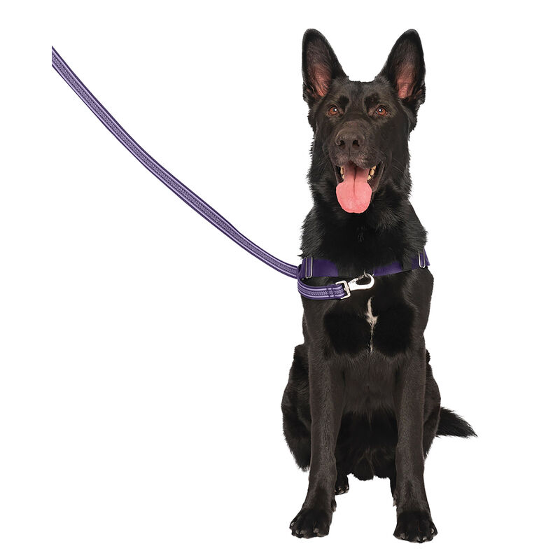 Canada Pooch, Re-Direct Harness - Purple/Lavender image number null