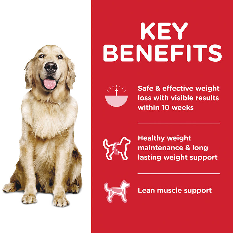 Science Diet, Adult Perfect Weight Chicken Recipe Dry Dog Food for healthy weight and weight managem image number null