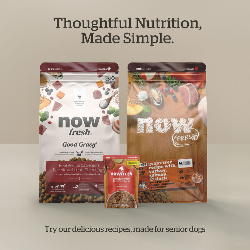 Good Gravy - Beef Coated in Bone Broth - Senior Dry Dog Food image number null