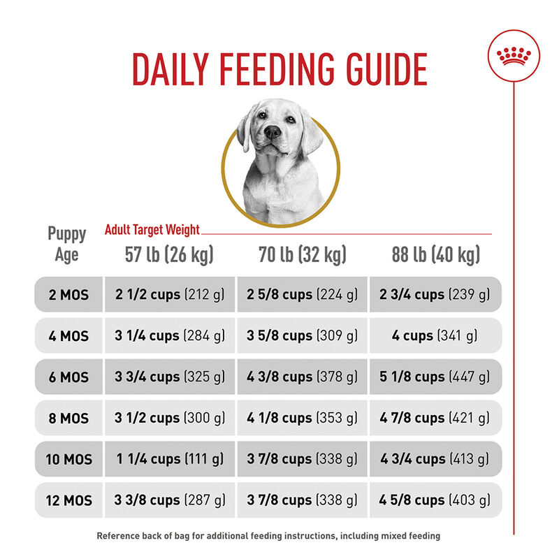 Royal Canin, Puppy - Breed Health Nutrition - Labrador Retriever image number null