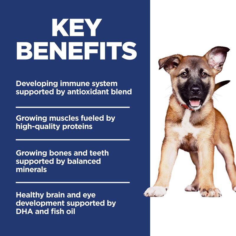 Science Diet, Puppy Large Breed Chicken & Brown Rice Recipe - Dry Dog Food image number null