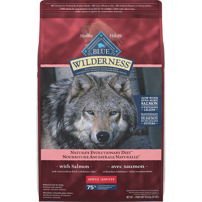 Blue Buffalo, Wilderness with More Meat & Wholesome Grains Adult Dog - Salmon - Dry Dog Food