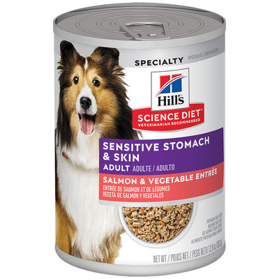 Adult Sensitive Skin&Stomach Salmon&Veg - 363 g