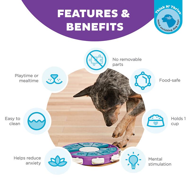Outward Hound, Nina Ottosson, Dog Twister Treat Puzzle - Purple image number null