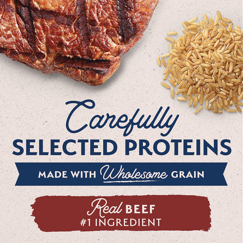Natural Balance, Can, Adult - LID - Beef & Brown Rice - 368 g - Wet Dog Food image number null