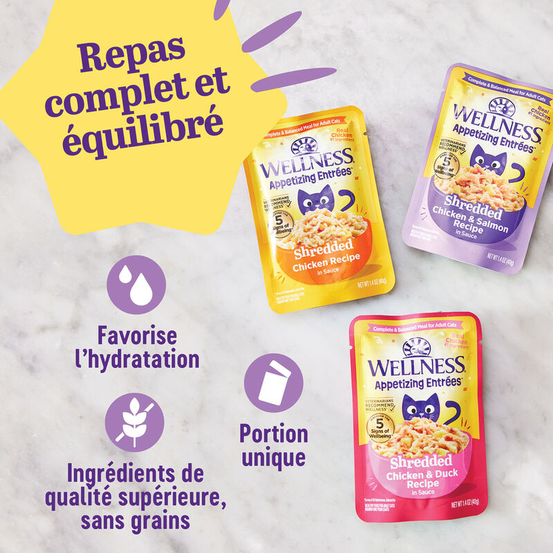 Wellness, Appetizing Entr&eacute;e - Shredded Chicken Recipe in Sauce - Wet Cat Food image number null