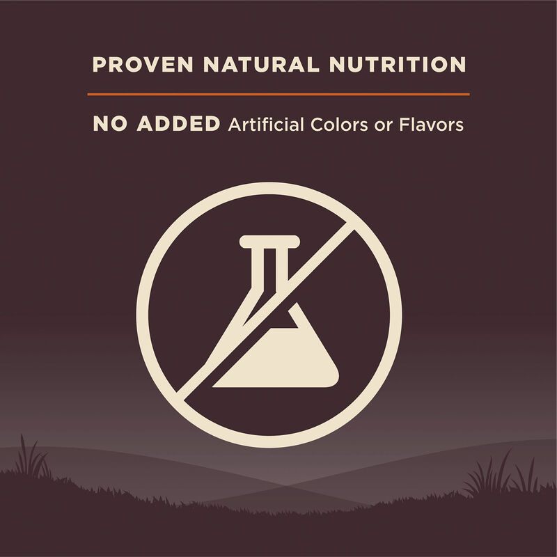 Wellness, Core, Grain Free Small Breed - Dry Dog Food image number null