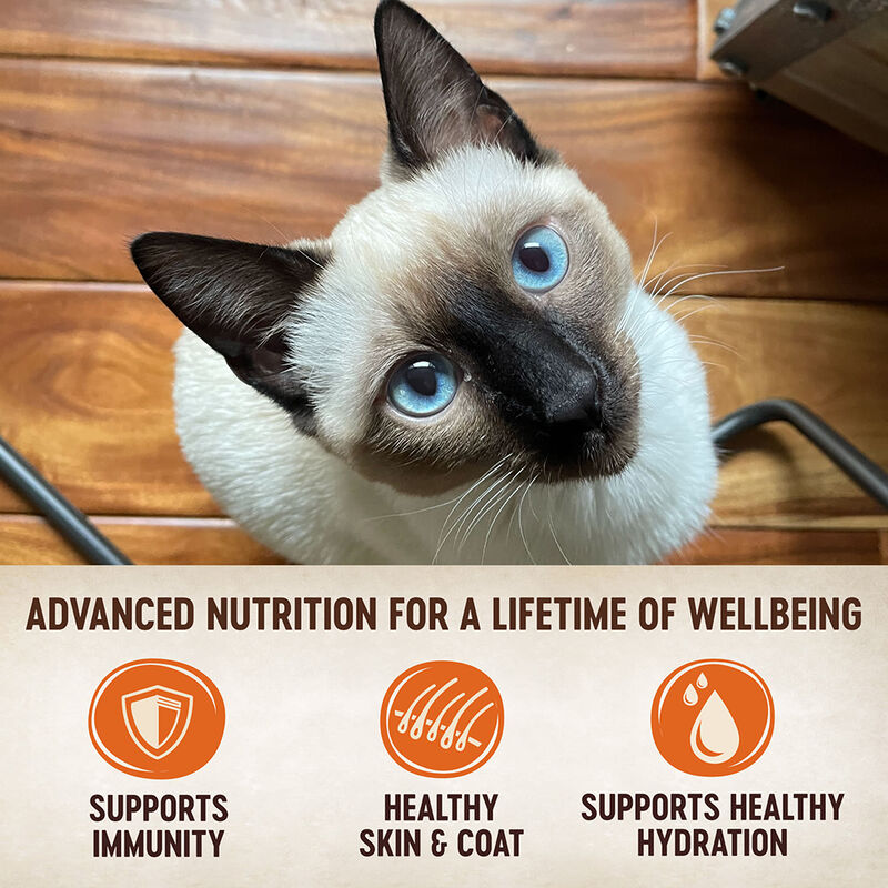 Wellness, Pouch, Feline Adult - Core Tiny Tasters - Chicken & Beef - 50 g - Wet Cat Food image number null