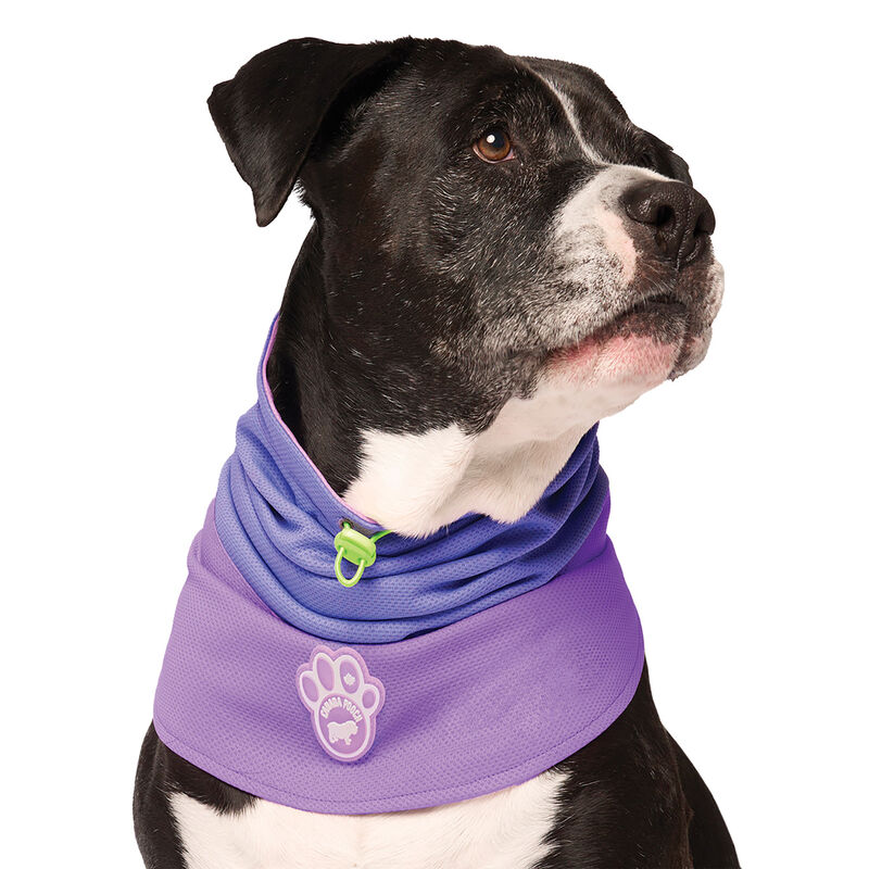 Canada Pooch, Max Chill Cooling Snood Purple image number null