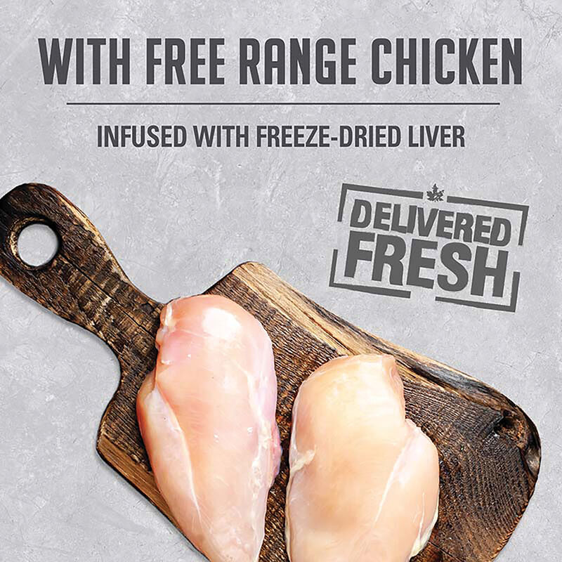 Can, Infusion Pate with Free Range Chicken - 369 g image number null