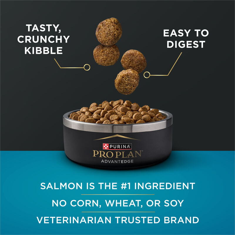 Pro Plan, AdvantEDGE - Small Breed Digestive Support - Dry Dog Food image number null