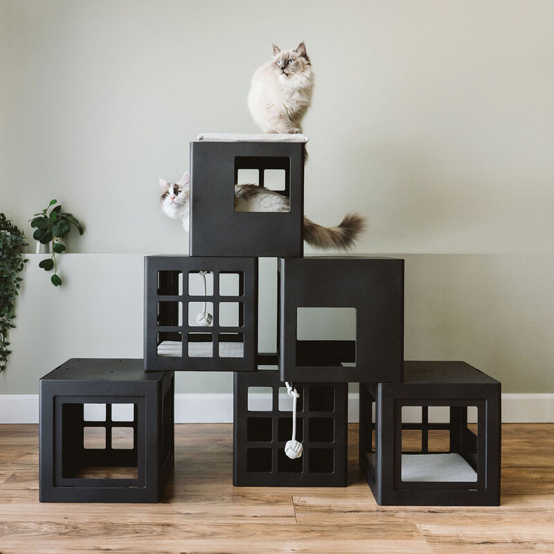 BeOneBreed, KATT KUBE Multi image number null