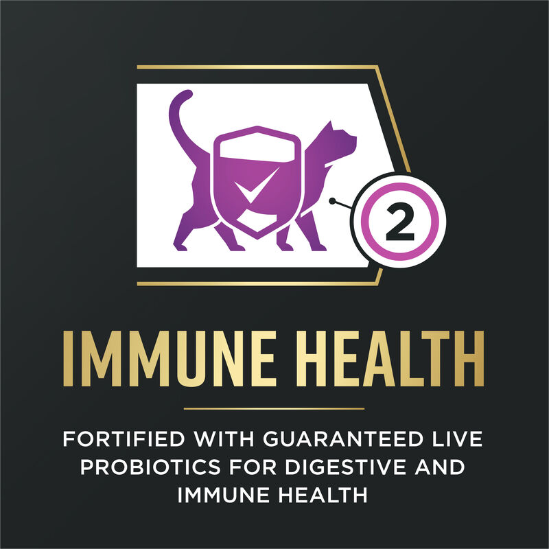 Pro Plan, AdvantEDGE - Senior Support Chicken & Rice - Dry Cat Food image number null