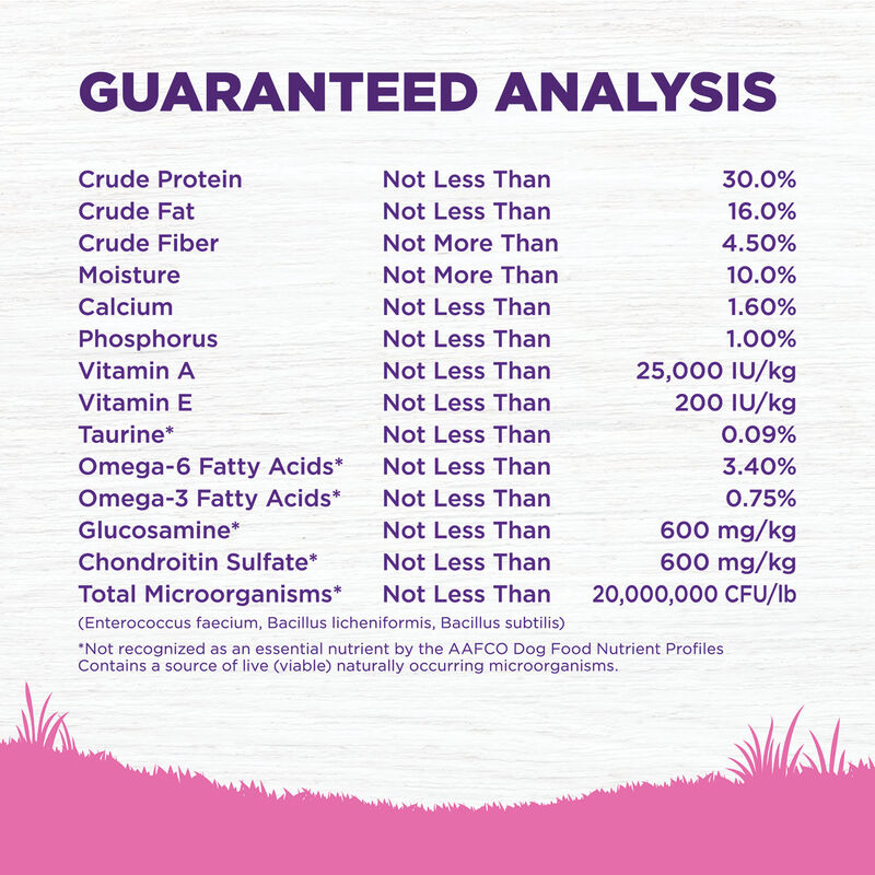 Wellness, Dog Toy Breed Adult - Dry Dog Food image number null