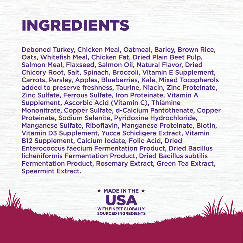 Wellness, Complete Health Small Breed, Puppy Turkey, Oatmeal & Salmon - 4 lb - Dry Dog Food image number null