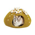 Dharma Dog Karma Cat, Cactus Cave image number null