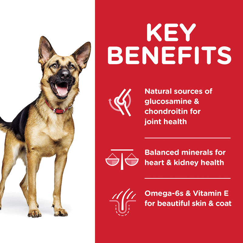 Science Diet, Adult 6+ Large Breed Chicken Meal, Barley & Brown Rice Recipe Dry Dog Food - Dry Dog F image number null