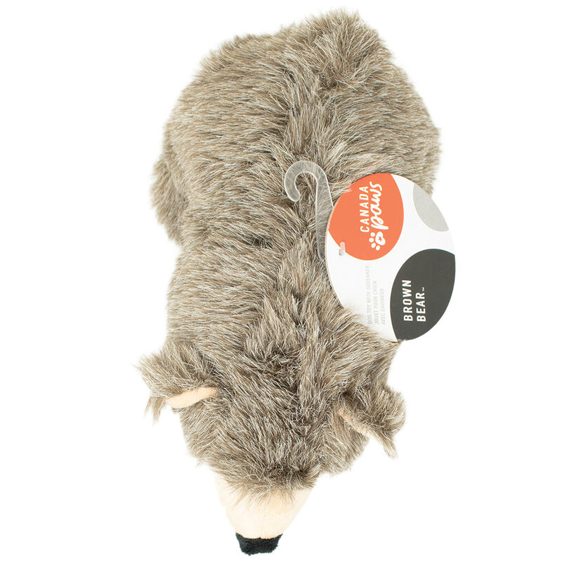 Canada Paws, Brown Bear - 9" - Plush Dog Toy image number null