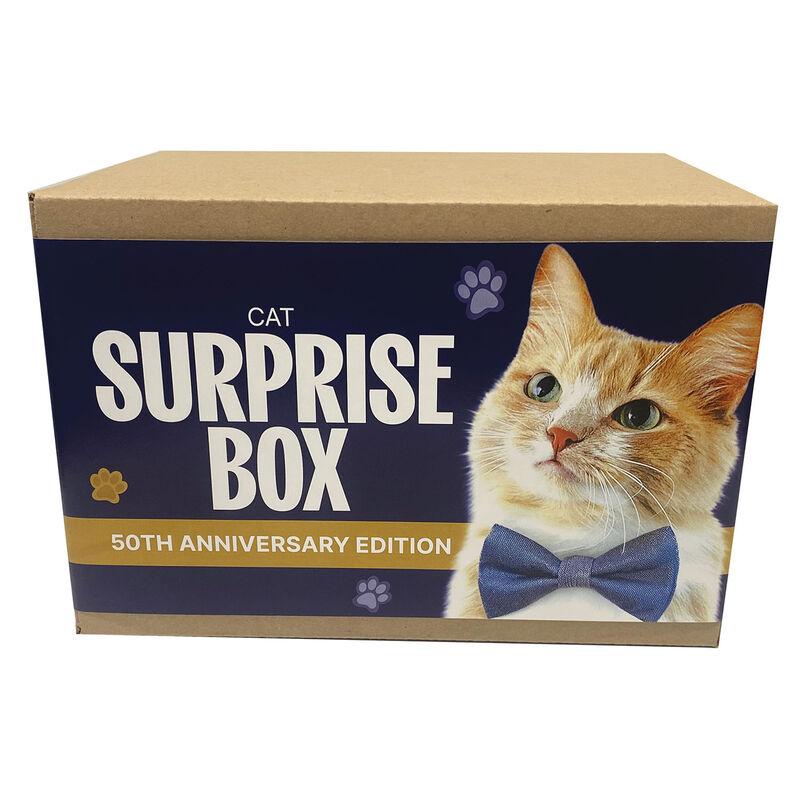 Surprise Box - Cat image number null