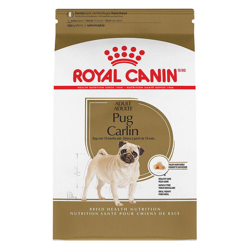 Royal Canin, Dry Dog Food, Pug - Dry Dog Food image number null