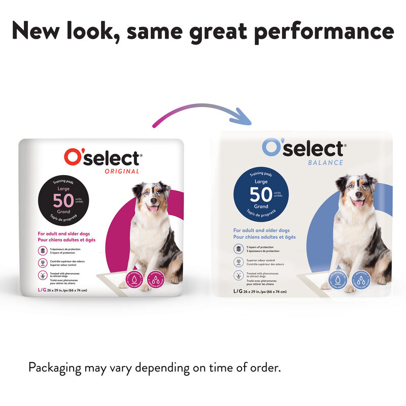 O'select, Training Pads Adult and Senior Dogs - 50 Pack image number null