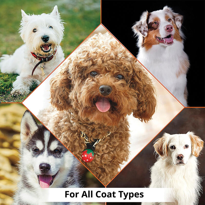 Wahl, Puppy Shampoo - 700 mL image number null