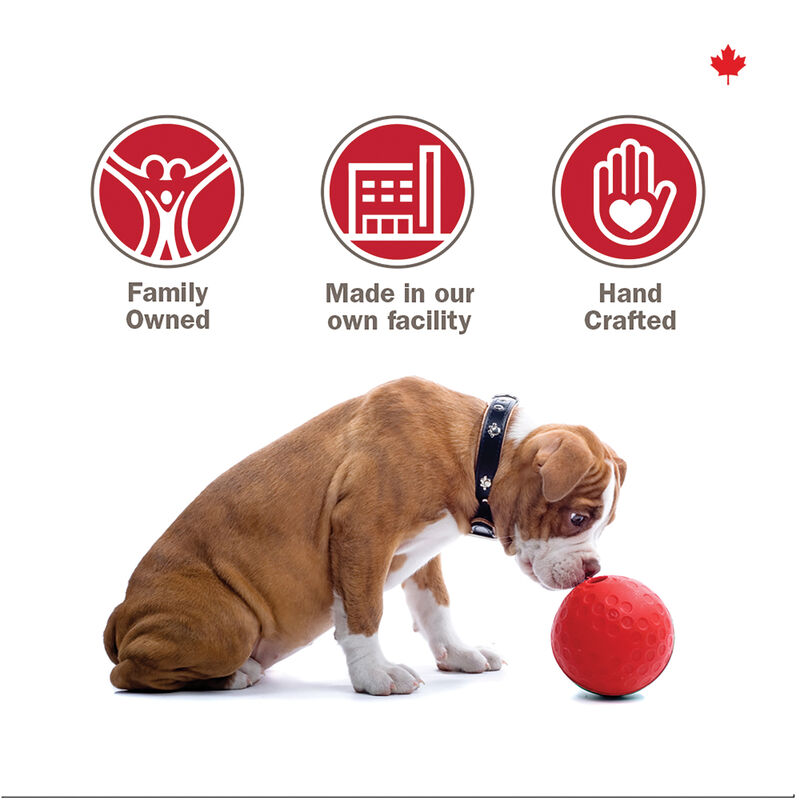 Crumps' Naturals, Traditional Liver Fillets Dog Treats - Dog Treat image number null